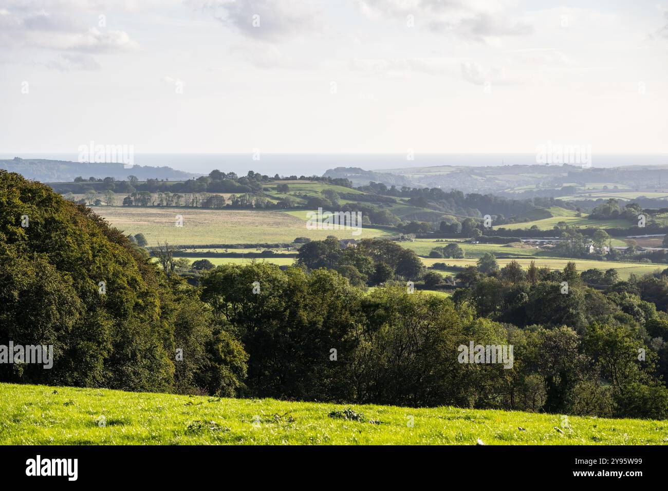 Die Hügel von West Dorset münden hinunter zur Jurassic Coast und Lyme Bay bei Bridport. Stockfoto