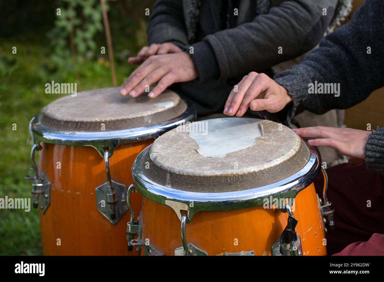 Zwei Musiker spielen Conga mit getragenem Trommelfell auf einem Outdoor-Festival, Musikinstrument für lateinische und afro-kubanische Musik, Salsa, Jazz und vieles mehr Stockfoto
