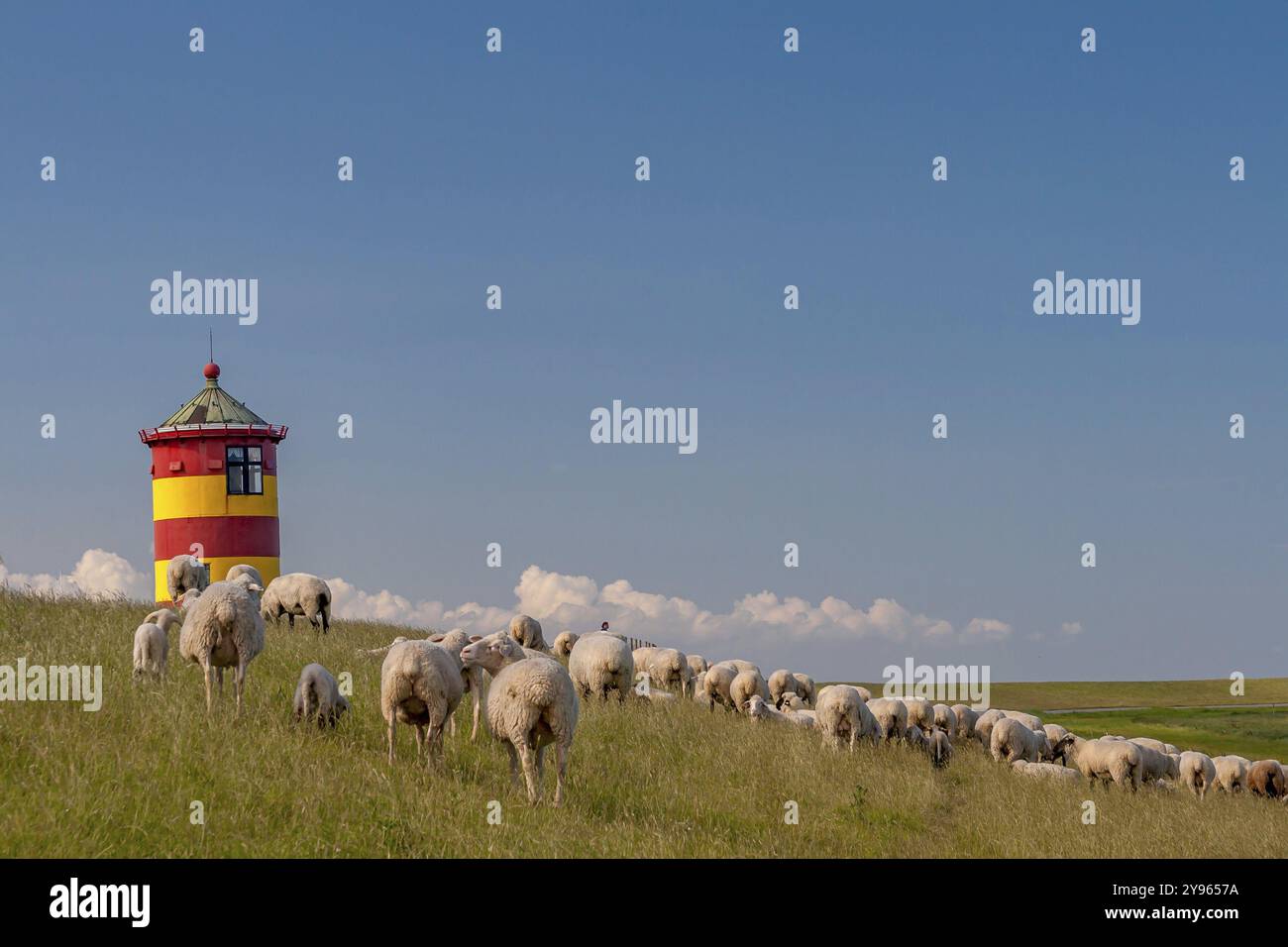 Schafherde vor dem Pilsumer Leuchtturm, Pilsum, Krummhoern, Ostfriesland, Niedersachsen, Deutschland, Europa Stockfoto