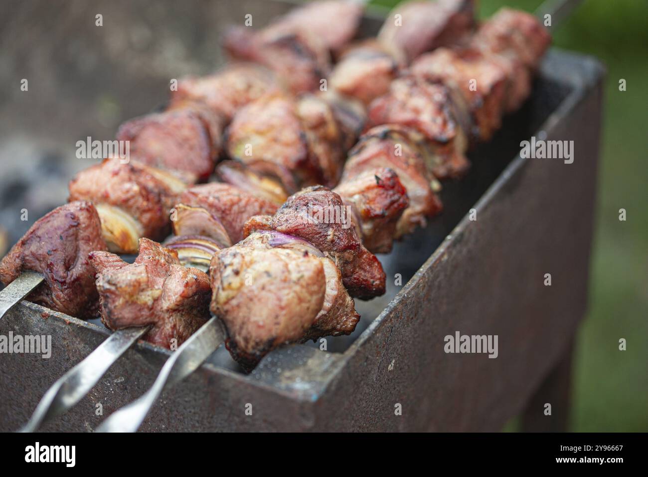 Picknick im Freien mit frischem Fleisch Schaschlik (Schaschlik) auf einem Stahlspieß auf einer Holzkohle vom Grill. BBQ auf Sommer-Picknick im grünen Garten, Essen Pho Stockfoto