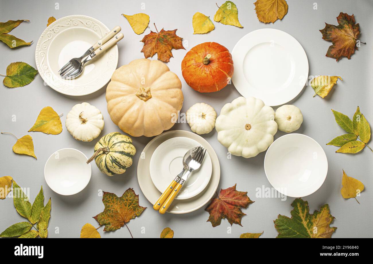 Thanksgiving festliche Tischkomposition mit verschiedenen bunten Kürbissen, Herbstblättern, leeren Tellern mit Besteck auf hellgrauem Hintergrund Tisch gelesen Stockfoto