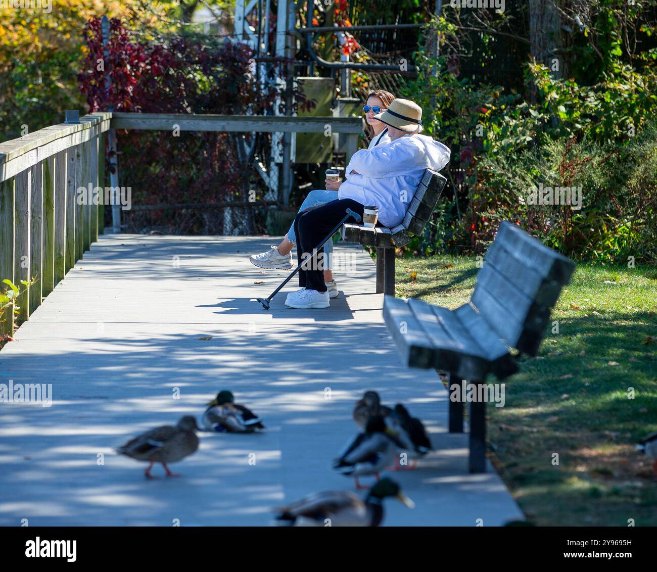 Freunde sitzen zusammen auf einer Parkbank Stockfoto