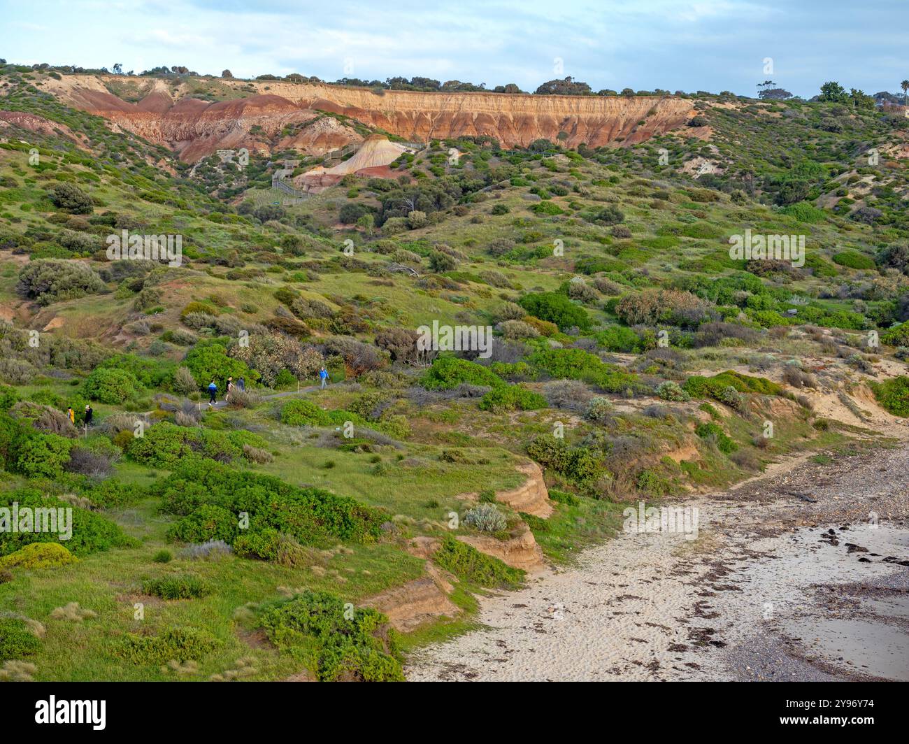 Hallett Cove Conservation Park Stockfoto