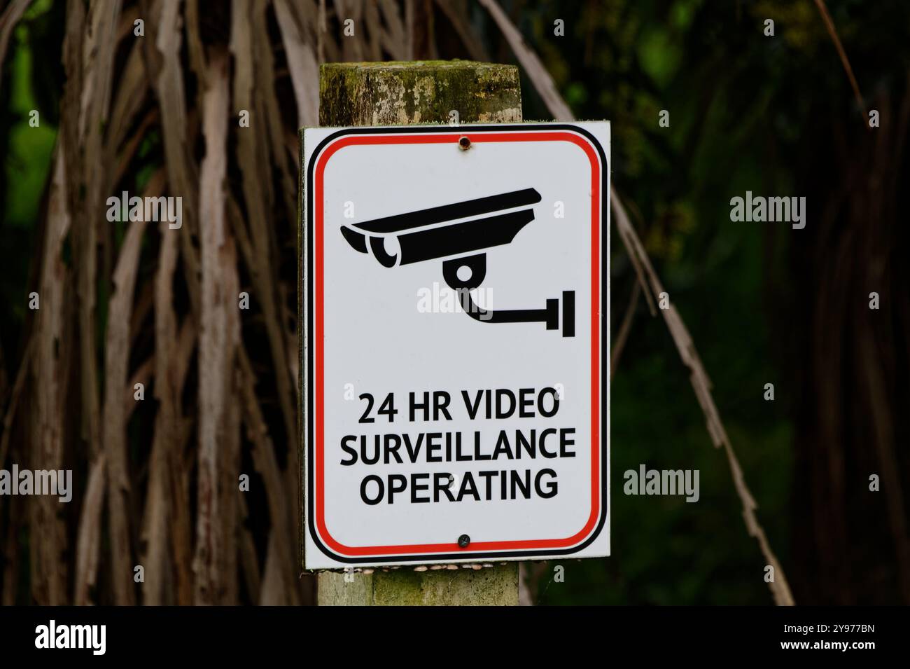 Warnschild für 24-Stunden-Videoüberwachung Stockfoto
