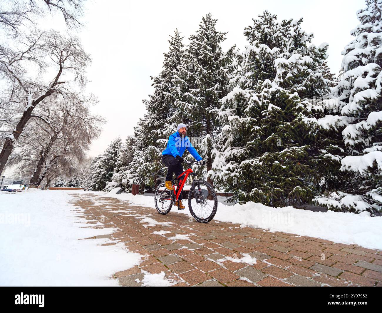 Ein Mann fährt mit dem Fahrrad in einem Winterpark zwischen schneebedeckten Bäumen. Bärtiger Radfahrer in einer blauen Jacke. Aktiver Lebensstil Stockfoto