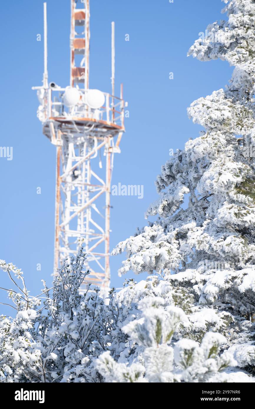 Telekommunikationsturm im Winter mit Frost bedeckt. Stockfoto