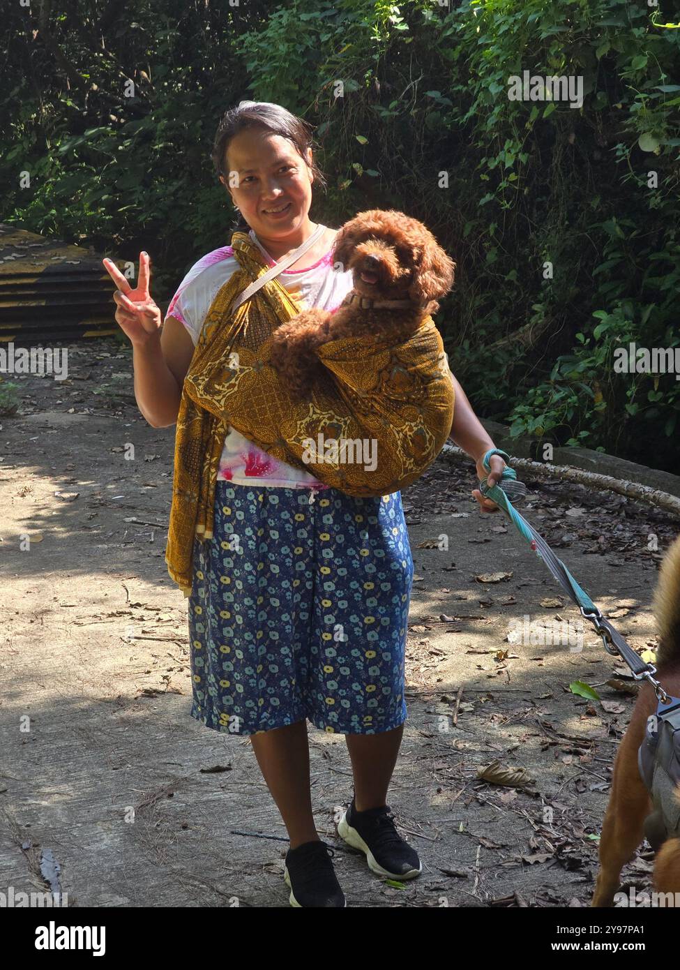 Eine Frau, die ihren Pudelhund trägt. Lamma Island, Hongkong. Stockfoto