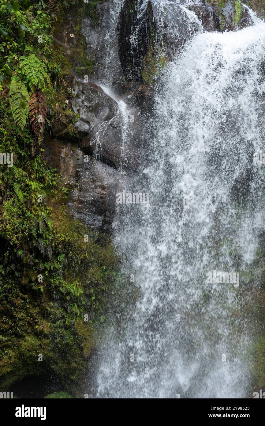 Wasserfall versteckt im dichten Tropenwald, Boquete, Chiriqui, Panama – Stockfoto Stockfoto