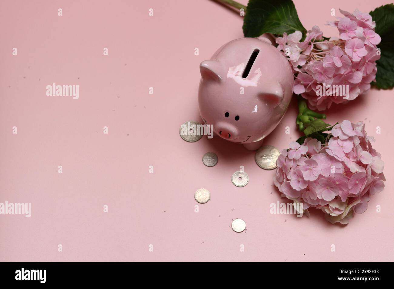 Rosafarbene Schweinebank mit Münzen und Hortensie Blumen auf rosa Hintergrund mit Platz für Text. Konzept der finanziellen Kompetenz. Stockfoto