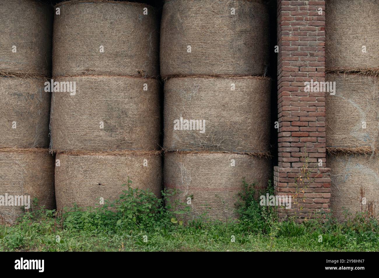 Herbstbild der piemontesischen Landschaft in der Nähe der Stadt Cuneo, Piemont, Italien Stockfoto