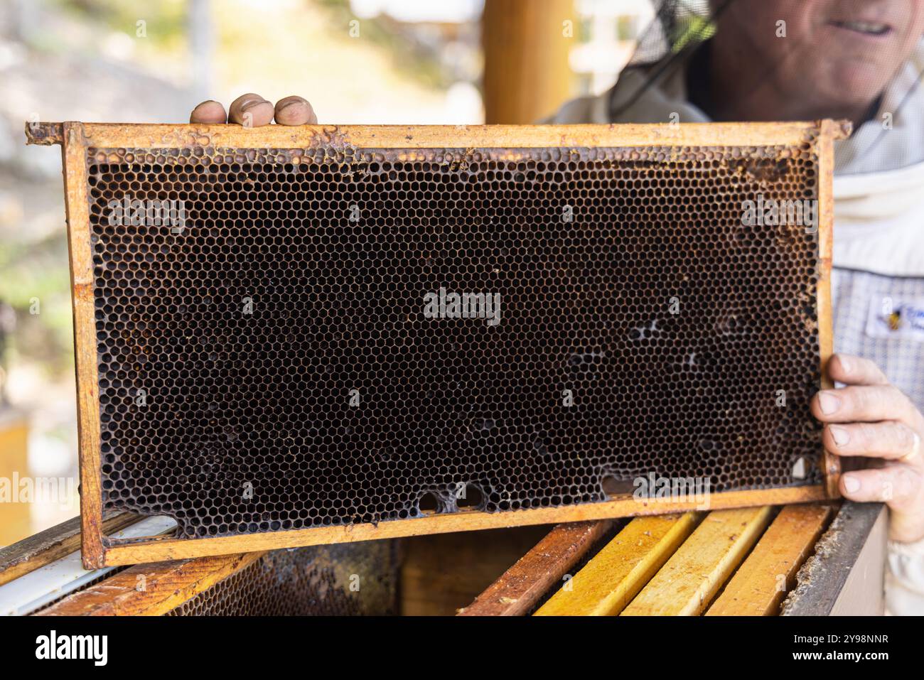 Jadeshay Imkerentkappungsgabel Aus Edelstahl – Bienenzinken Mit Kunststoffgriff, Robust & Scharf, Für Wabeninspektion Und Milbenkontrolle