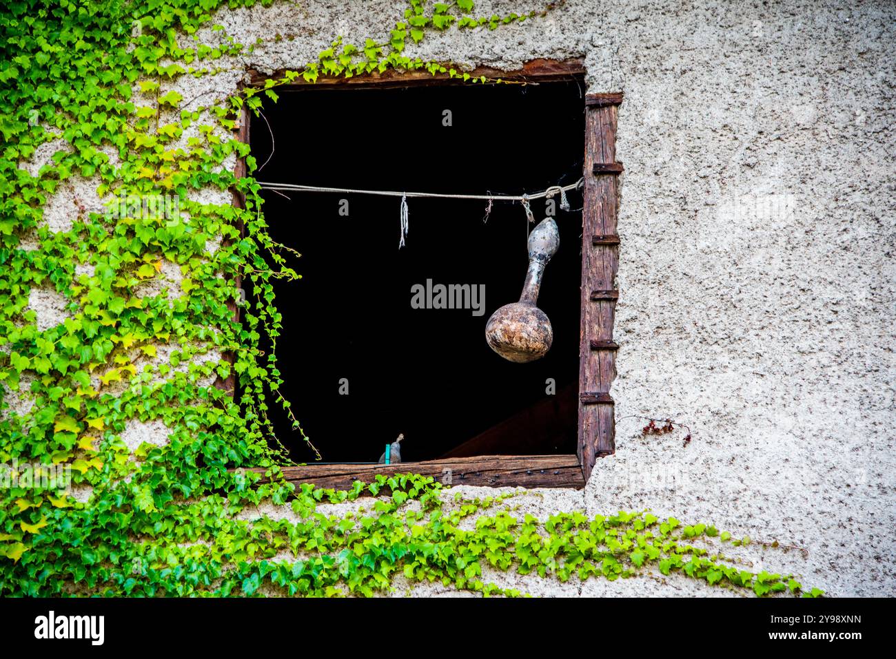 Wineskin hängt am offenen Fenster in Kaltern Bozen, Italien Stockfoto