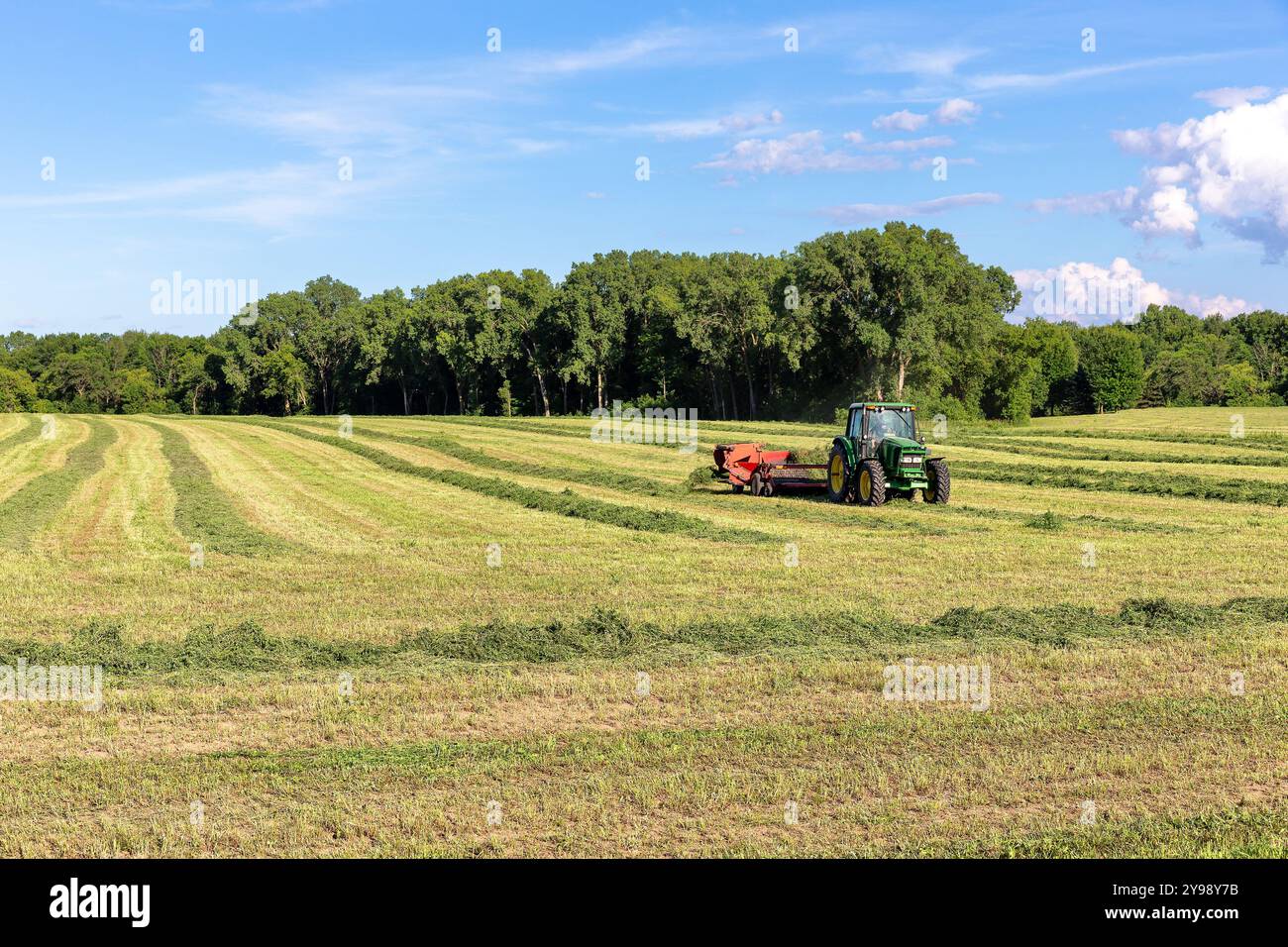 Pulaski, WI – 29. Juli 2020: John Deere-Traktor erntet frisch geschnittene Luzerne auf einem Feld. Das Unternehmen mit Hauptsitz in Moline, Illinois, ist eine Weltgesellschaft Stockfoto
