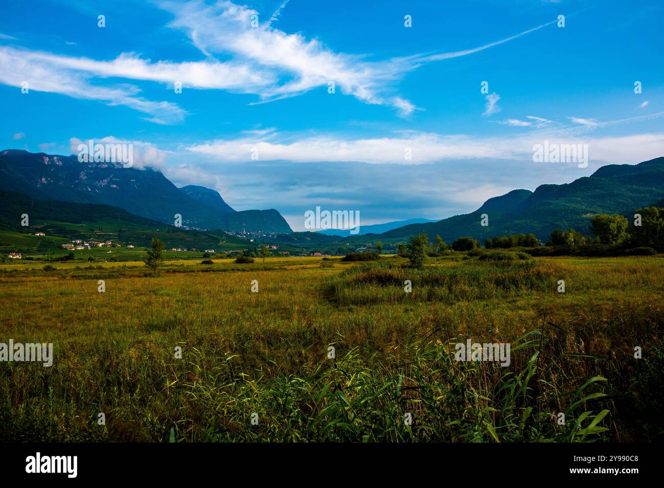 Sommerlandschaft mit blauem Himmel und weißen Wolken im Kalterer See in Bozen Italien Stockfoto