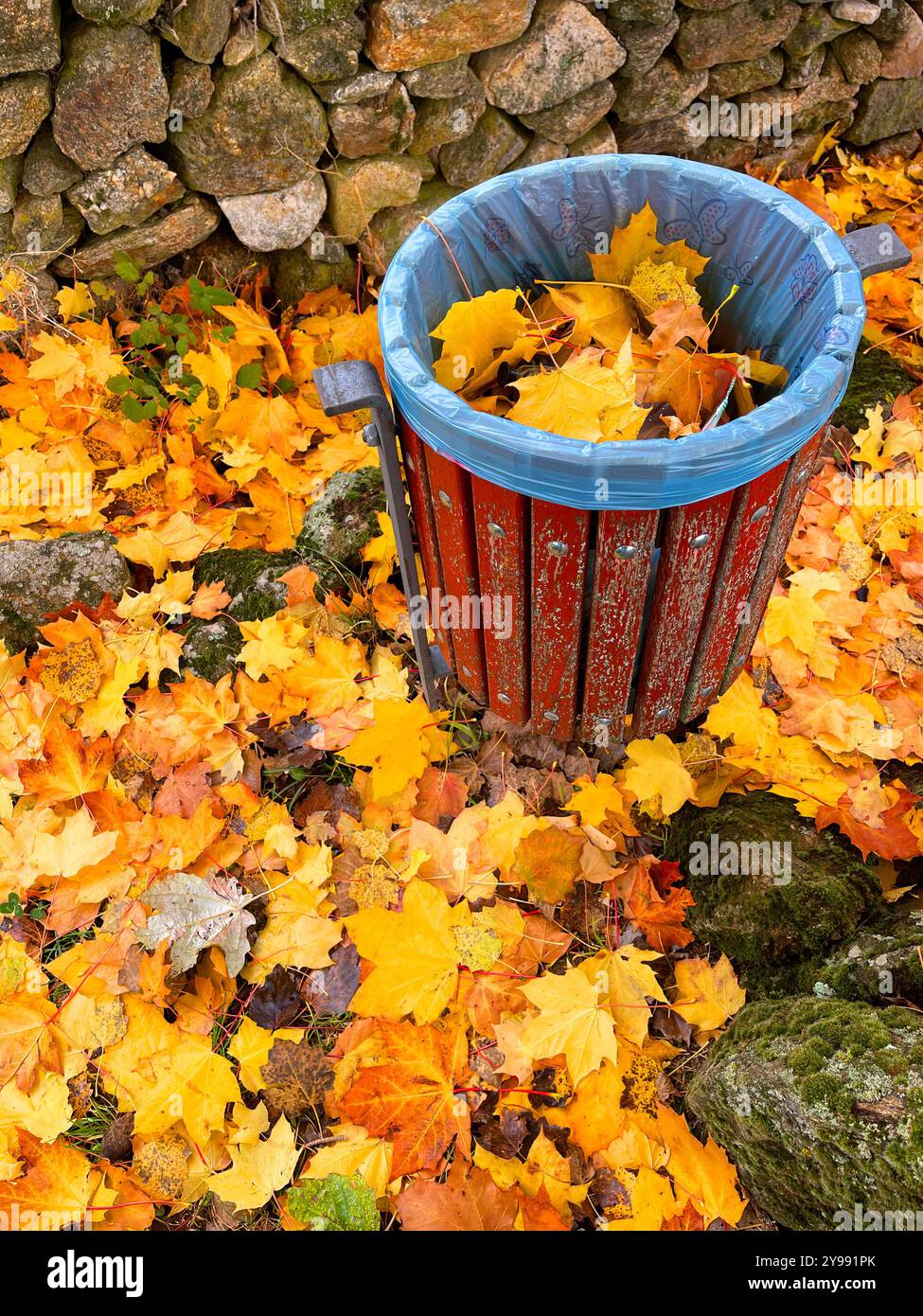 Herbstblätter und Abfalleimer. - Smartphone-aufgenommenes Stockfoto