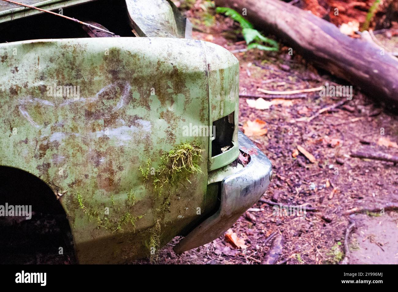 Verlassener alter grüner Chevy im Wald am Spring Beach in Lake Cowichan auf Vancouver Island in British Columbia, Kanada Stockfoto