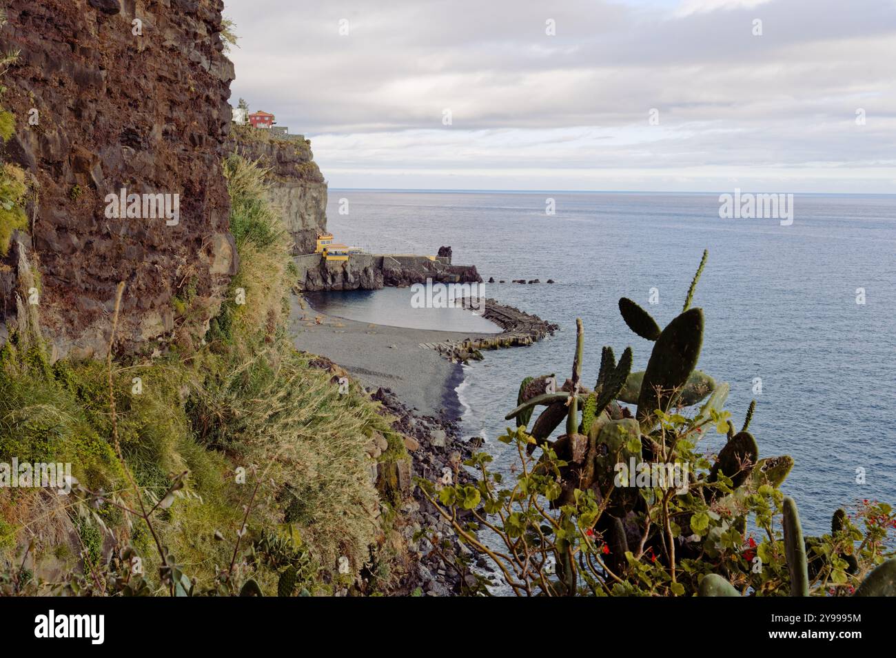 Zerklüftete Klippen und Kaktuspflanzen mit Blick auf eine Bucht und den ruhigen atlantik auf Madeira Stockfoto