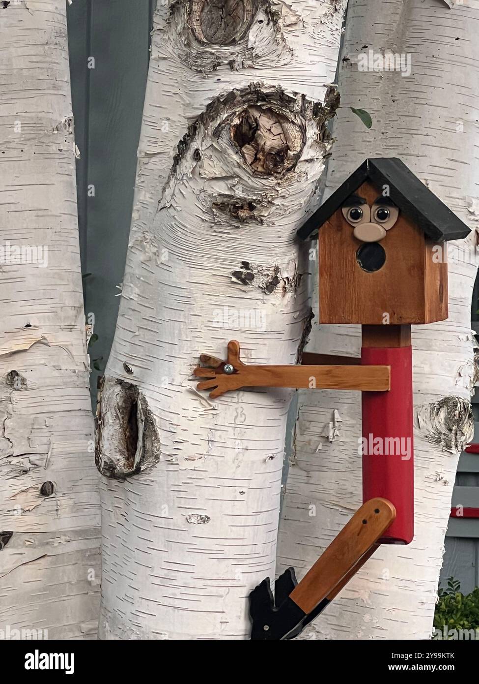 Wunderschönes Vogelhaus aus Holz mit verspieltem Gesichtsdesign, montiert auf einer weißen Birke, verleiht einem natürlichen Hinterhof Charme und Persönlichkeit. - Smartphone-aufgenommenes Stockfoto