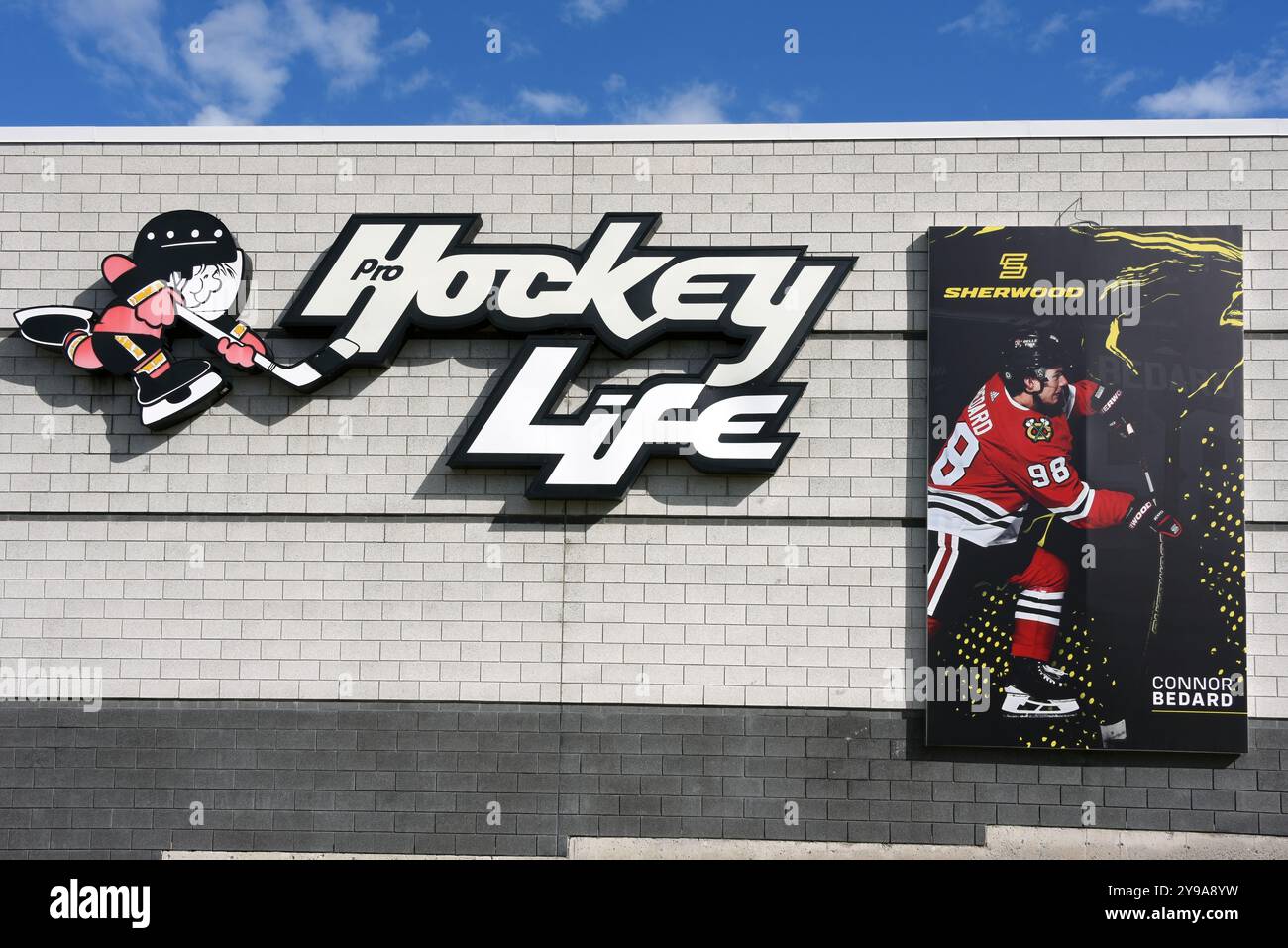 Kanata, Kanada - 8. Oktober 2024: Bild von Connor Bedard an der Wand des Pro Hockey Life in Kanata, einem Vorort von Ottawa. PHL ist das größte Hockey der Welt Stockfoto