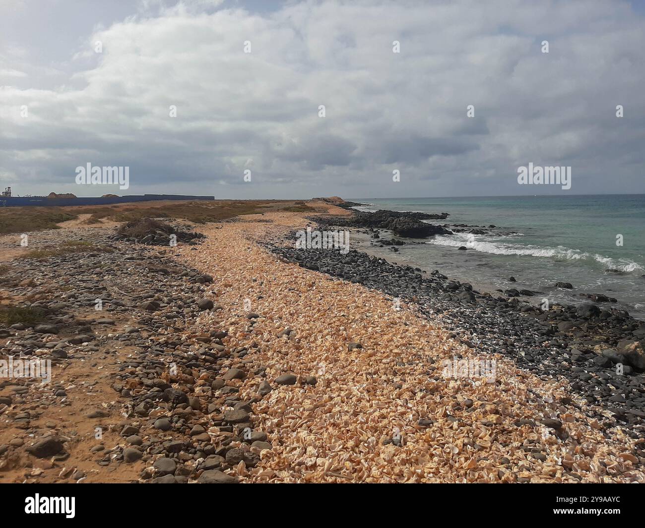 Shell Cemetery Beach, Santa Maria, Sal, Kap Verde, Afrika: Strand aus Muscheln am Meer, bewölkt Stockfoto