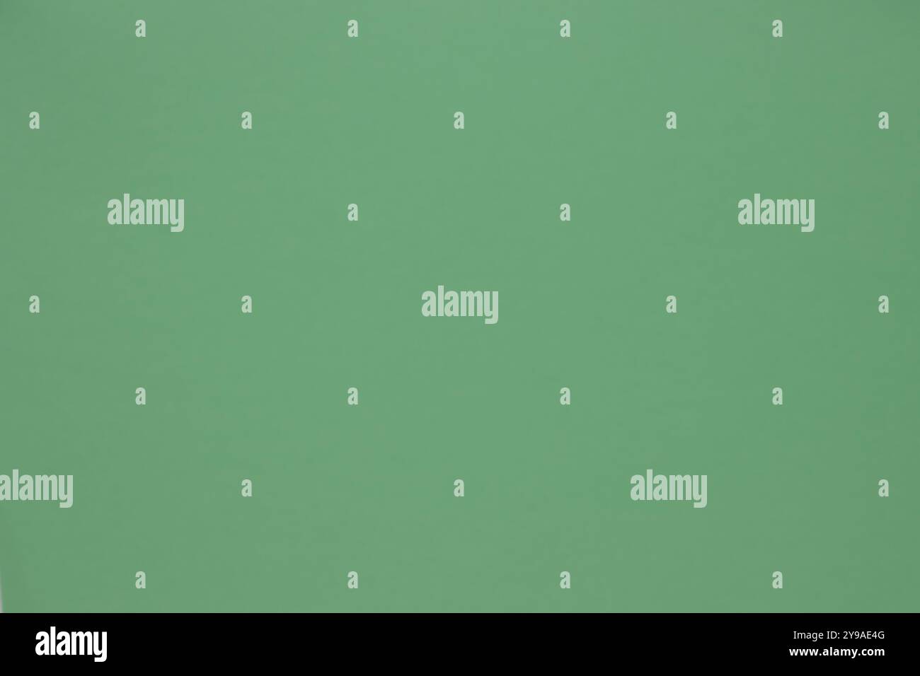Dieser Papierhintergrund in einheitlicher grüner Farbe eignet sich perfekt für verschiedene Anwendungen. Sein frischer und natürlicher Farbton macht ihn zu einer ausgezeichneten Wahl für Fotomotiven Stockfoto