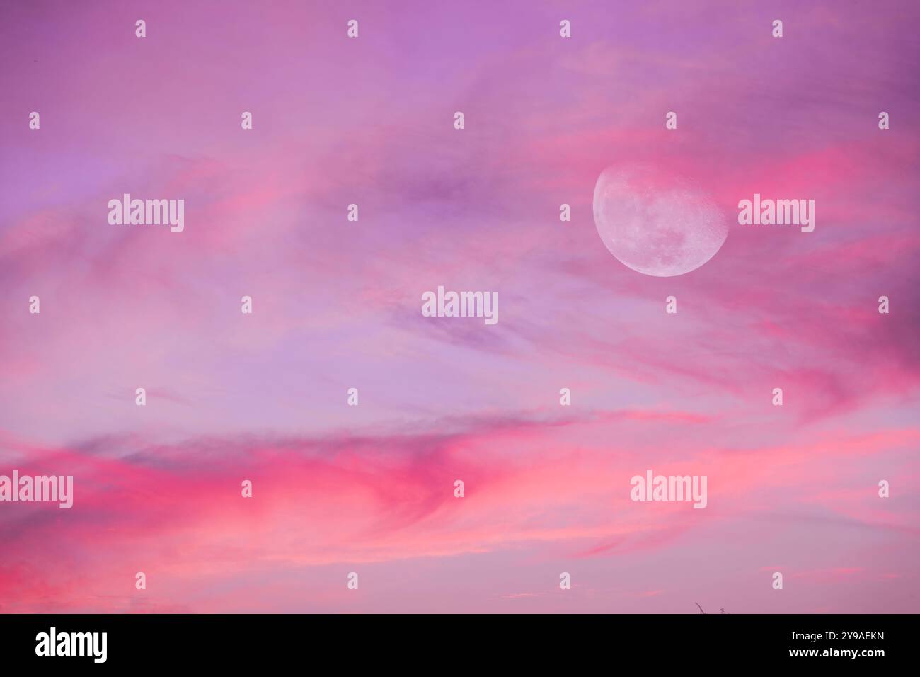 Ein Vollmond erhebt sich zwischen den violetten Wolken, die in Pastelltönen gesetzt sind Stockfoto
