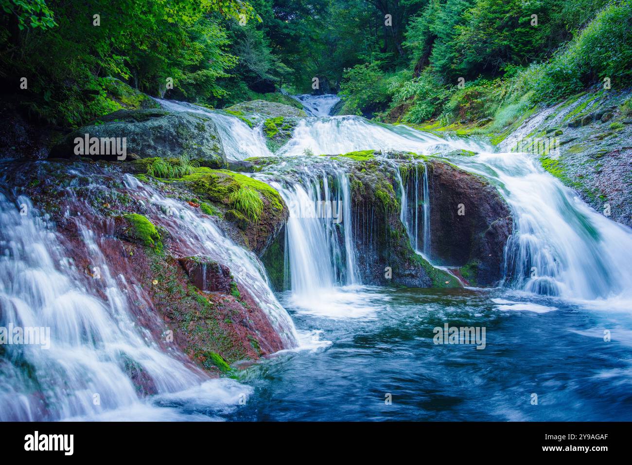 Die Oshidori-Kakushi Falls liegen auf einer Höhe von 1.510 Metern am Oberlauf des Shibu River und schlängeln sich durch die malerische Yokoya Schlucht. Stockfoto