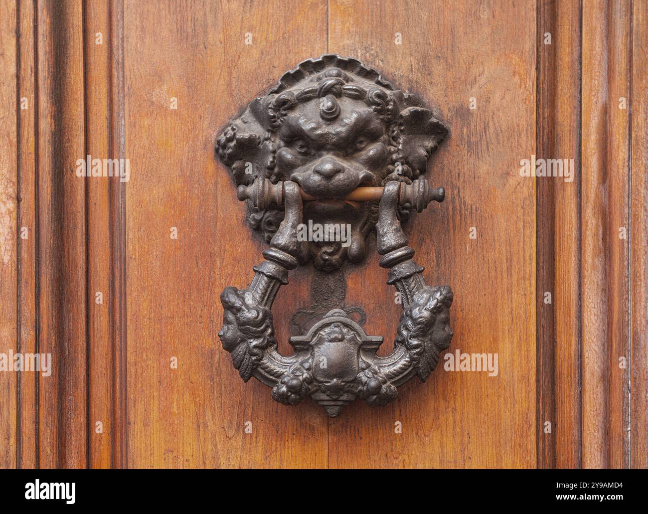 Antiker Türklopfer in Form eines Löwenkopfes an alter Holztür, Rom, Italien, Europa Stockfoto