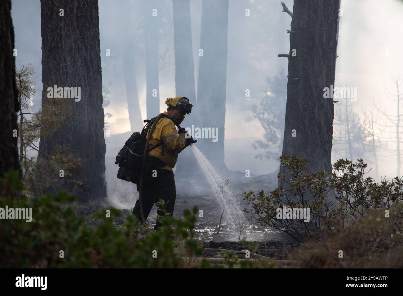 Die Besatzungen arbeiten an einem vorgeschriebenen Verbrennungsvorgang während der Waldbewirtschaftung im Sugar Pine State Park. Gelegen am Westufer des Lake Tahoe Beckens in Kalifornien. 9. Oktober 2024 (Foto: Hale Irwin/ Credit: SIPA USA/Alamy Live News Stockfoto