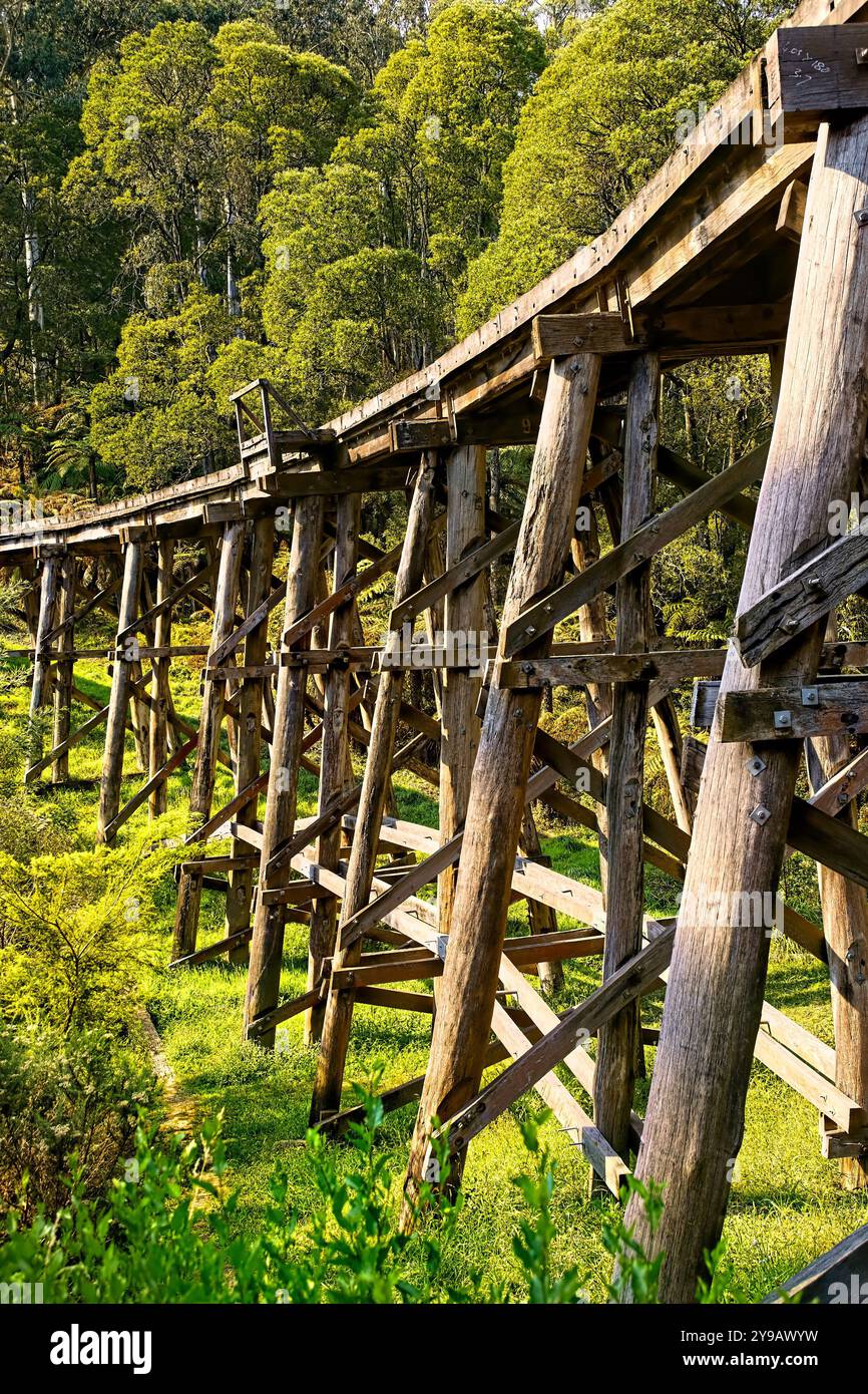 Die 1899 erbaute Trestle Bridge Puffing Billy Railway, die Dandenong Ranges, Victoria, Australien Stockfoto