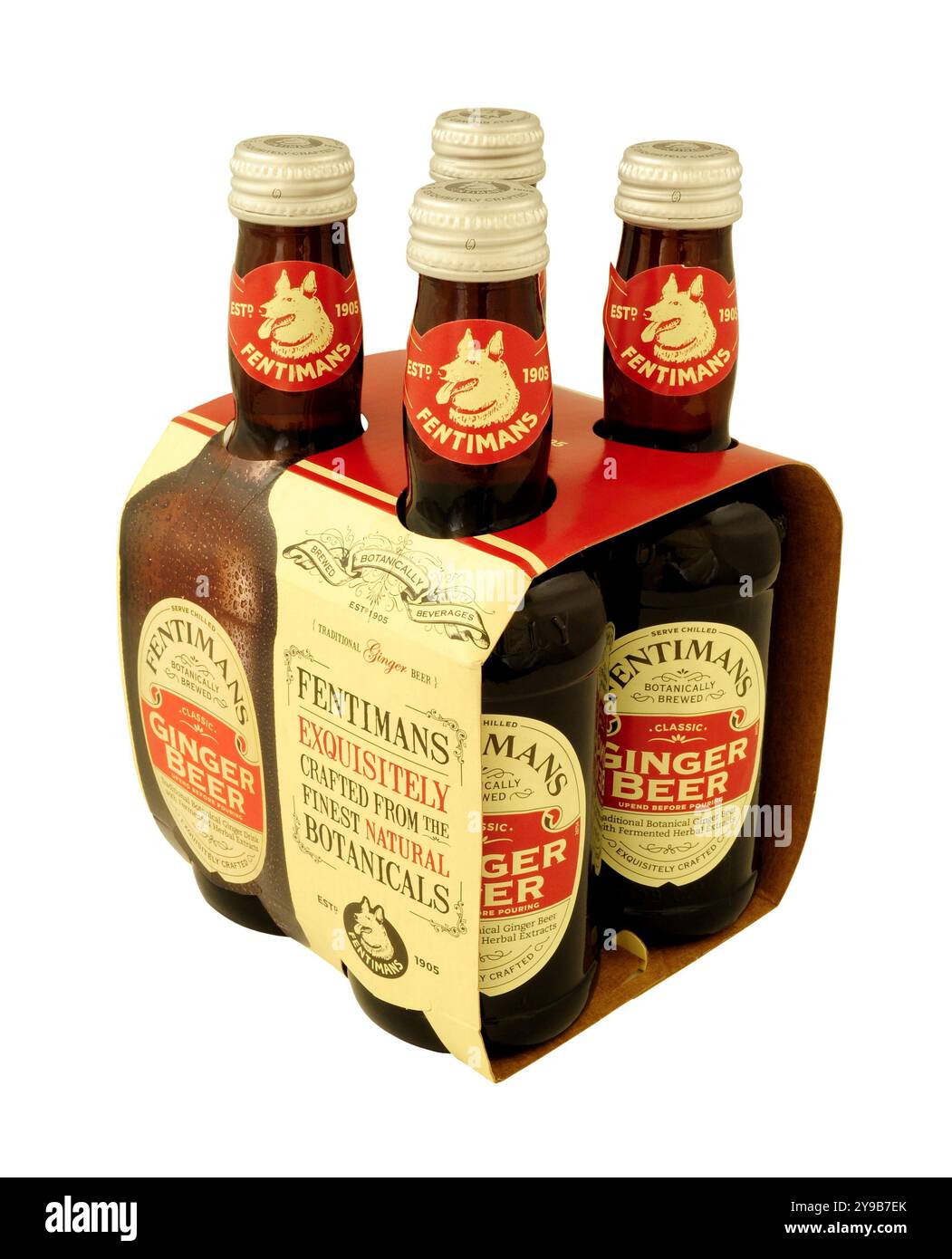 Fentimans Ingwerbier, botanisch aus natürlichen pflanzlichen Stoffen gebraut, in einer Viererpackung mit vier 275-ml-Flaschen Stockfoto