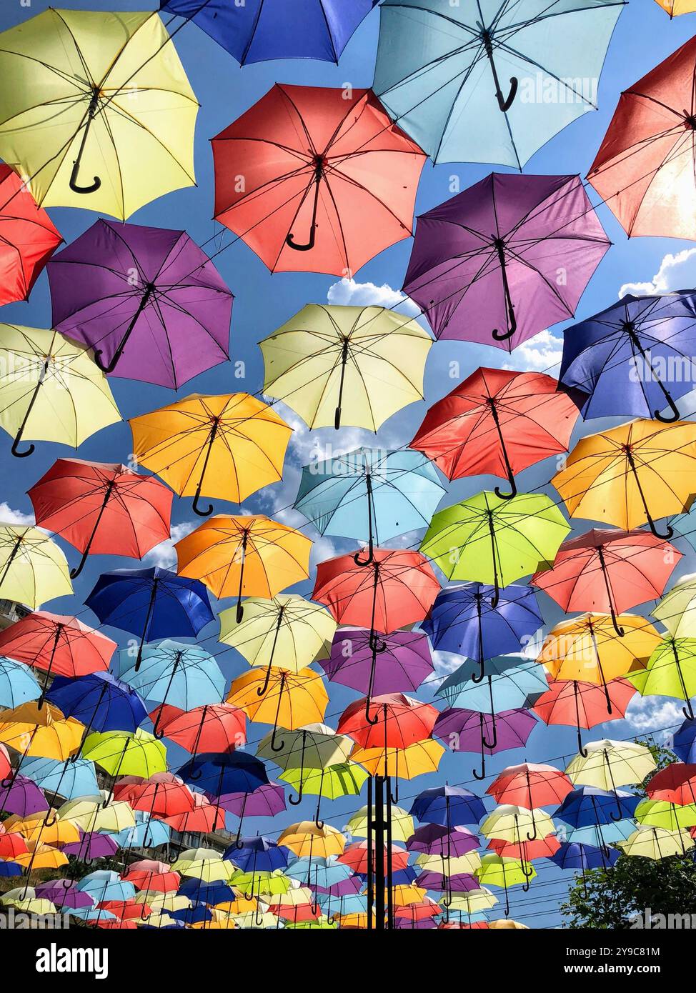 Installation von schönen bunten offenen Regenschirmen in Linien gegen blauen Himmel auf der Arcadia Gasse an einem sonnigen Tag in Odessa, Ukraine - Smartphone-aufgenommenes Stockfoto
