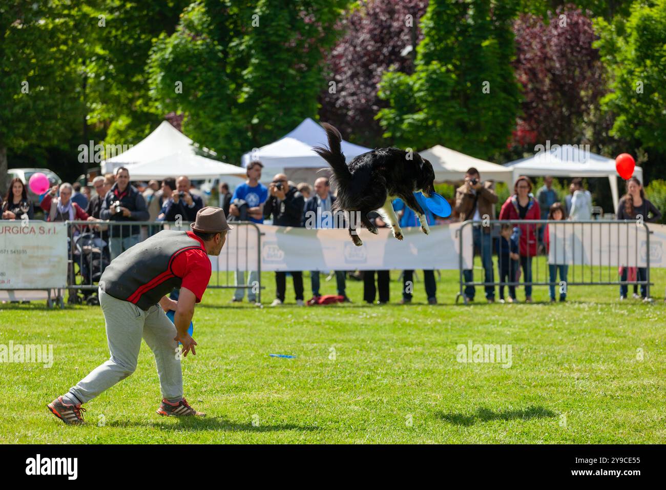 Montelupo Fiorentino, Italien - 07. Mai 2017: Im Ambrogiana Park zeigten Hunde und ihre Besitzer viele Aktivitäten, um die Tiertherapie zu unterstützen Stockfoto