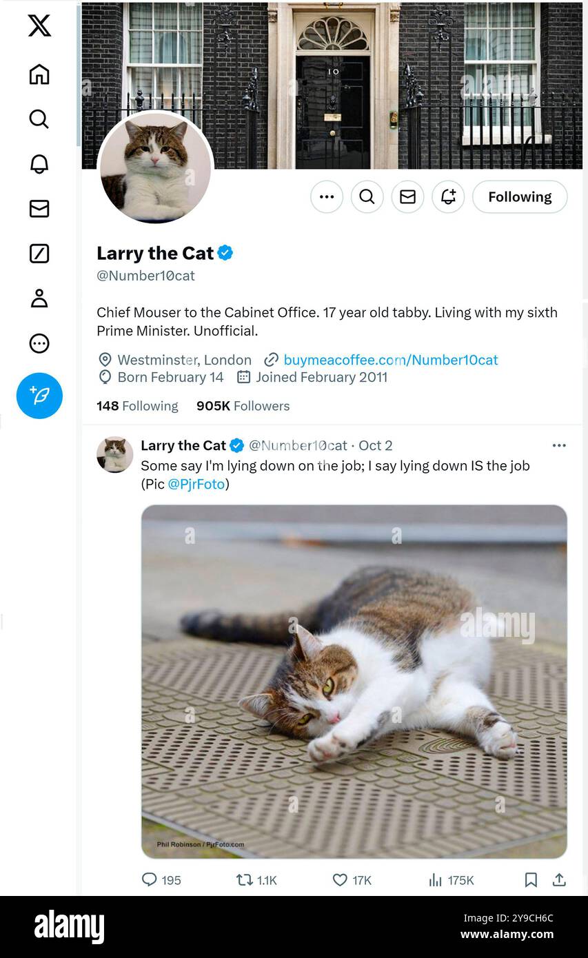 'X' - ehemals Twitter - Seite (Oktober 2024) von Larry the Downing Street Cat - Chief Mouser seit 2011 im Kabinettsbüro Stockfoto