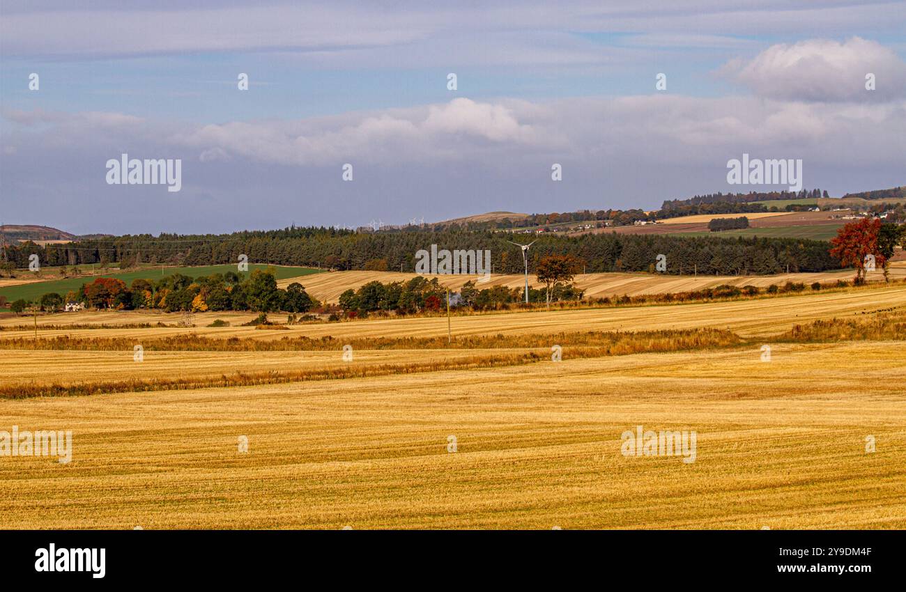 Dundee, Tayside, Schottland, Großbritannien. Oktober 2024. Wetter in Großbritannien: Die kalte Herbstsonne bietet einen wunderbaren Blick auf erntete Whisky-Gerstenfelder und die Landschaft von Dundee Strathmore Valley und Sidlaw Hills in Schottland. Quelle: Dundee Photographics/Alamy Live News Stockfoto