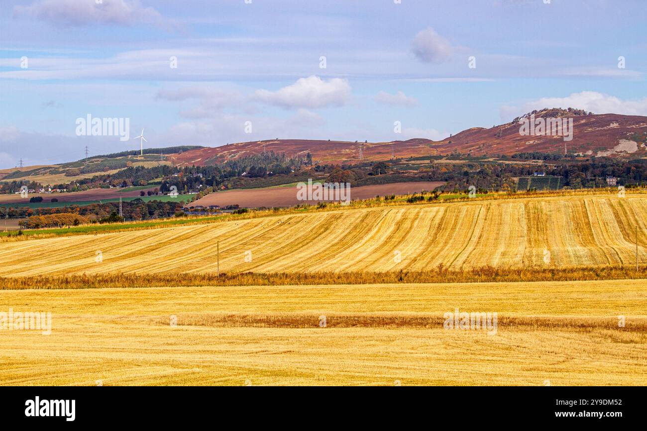 Dundee, Tayside, Schottland, Großbritannien. Oktober 2024. Wetter in Großbritannien: Die kalte Herbstsonne bietet einen wunderbaren Blick auf erntete Whisky-Gerstenfelder und die Landschaft von Dundee Strathmore Valley und Sidlaw Hills in Schottland. Quelle: Dundee Photographics/Alamy Live News Stockfoto