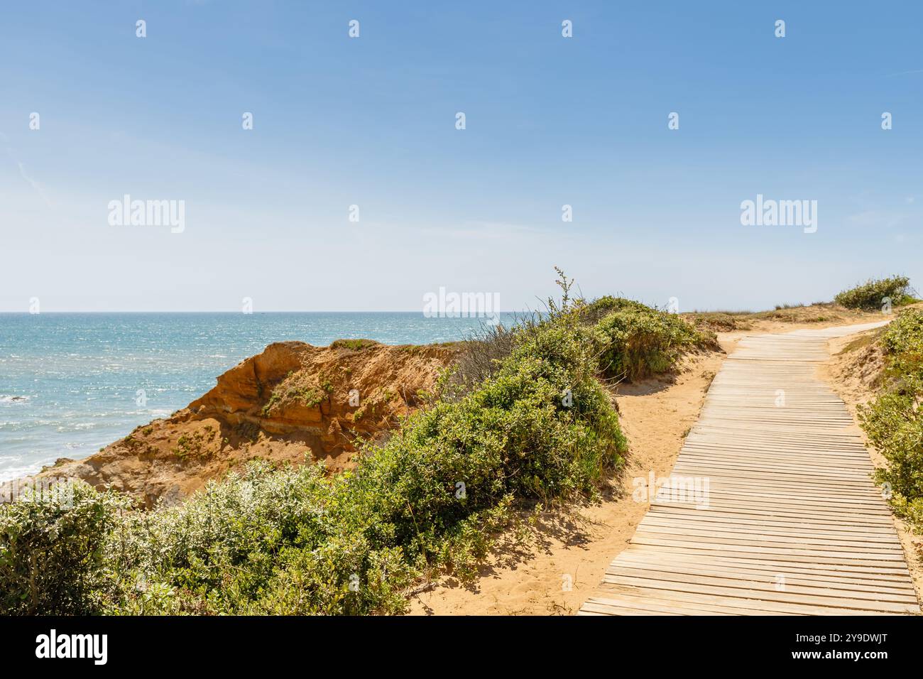 Blick auf den Strand Pointe du Payre, Jard sur Mer, Frankreich an einem Sommertag, Vendée, Frankreich Stockfoto