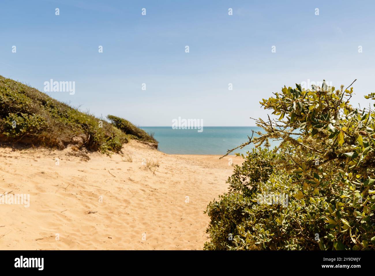 Blick auf den Strand von La Mine in Jard sur Mer, Frankreich an einem Sommertag, Vendée, Frankreich Stockfoto