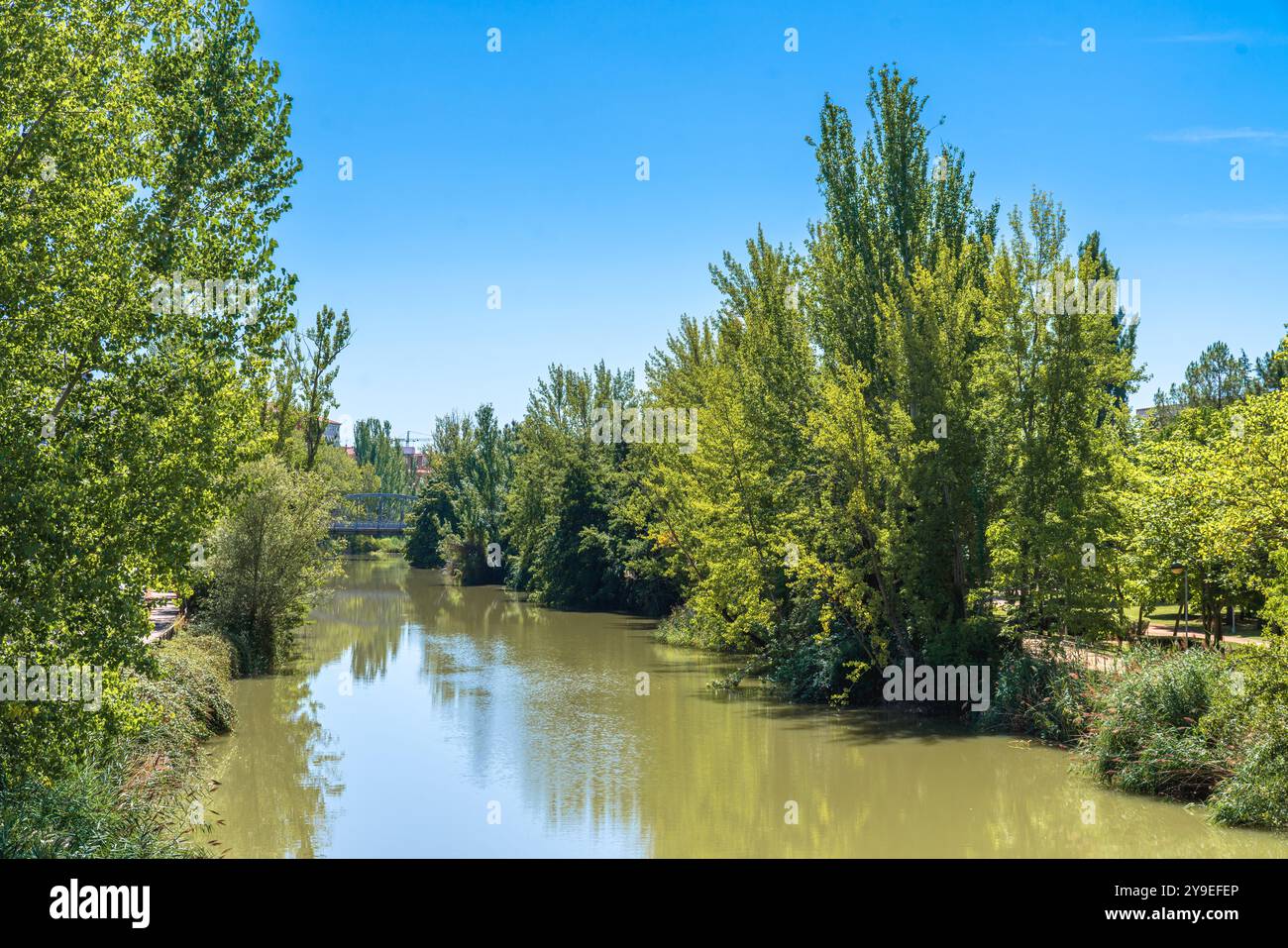 Malerischer Blick auf den Fluss Carrión im Sommer mit grüner Vegetation in Palencia, Castilla y León, Spanien Stockfoto