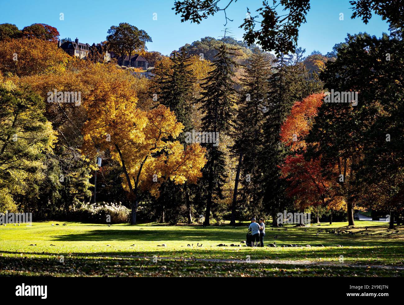Herbstfarben in Tarrytown, NY Stockfoto
