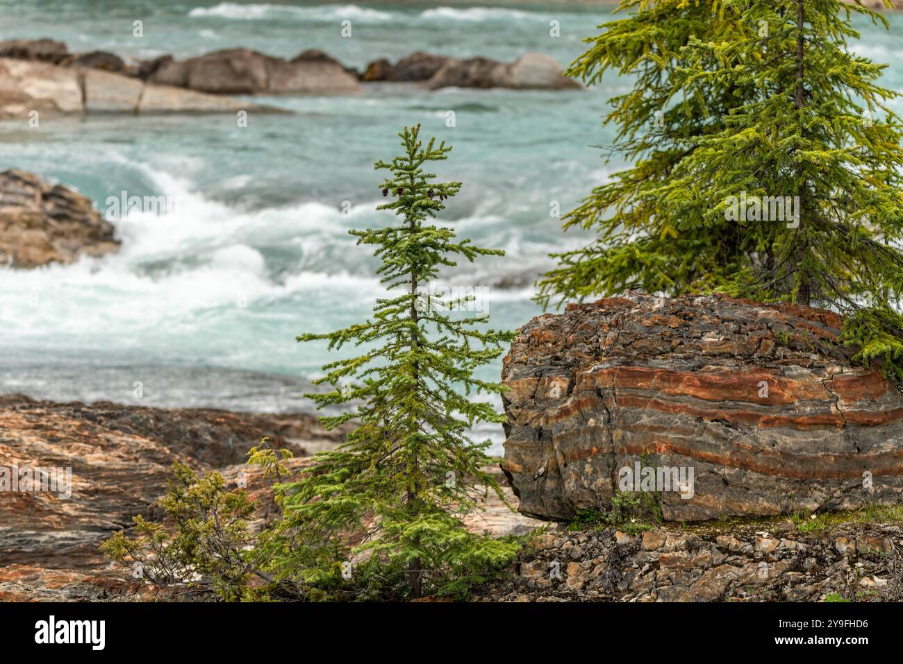 Atemberaubende Natural Bridge im Yoho National Park im Frühling mit unglaublichem Gletscherwasser, das über die felsige Landschaft im Yoho National Park fließt. Stockfoto