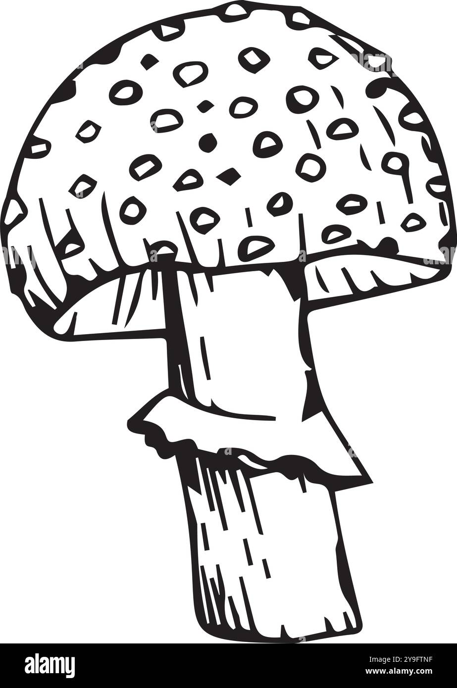 Ein Fliegenpilz, handgezeichnet in schwarzer Tinte auf weißem Hintergrund. Vektorillustration für Ihr Design Stock Vektor