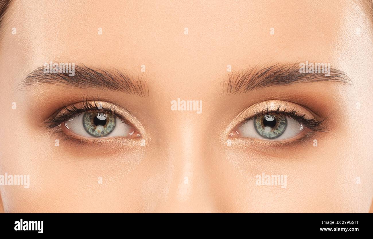 Schöne Frau mit langen Wimpern, wunderschönem Make-up und dicken Augenbrauen. Blick auf die Kamera. Professionelle Make-up- und Kosmetikpflege. Stockfoto