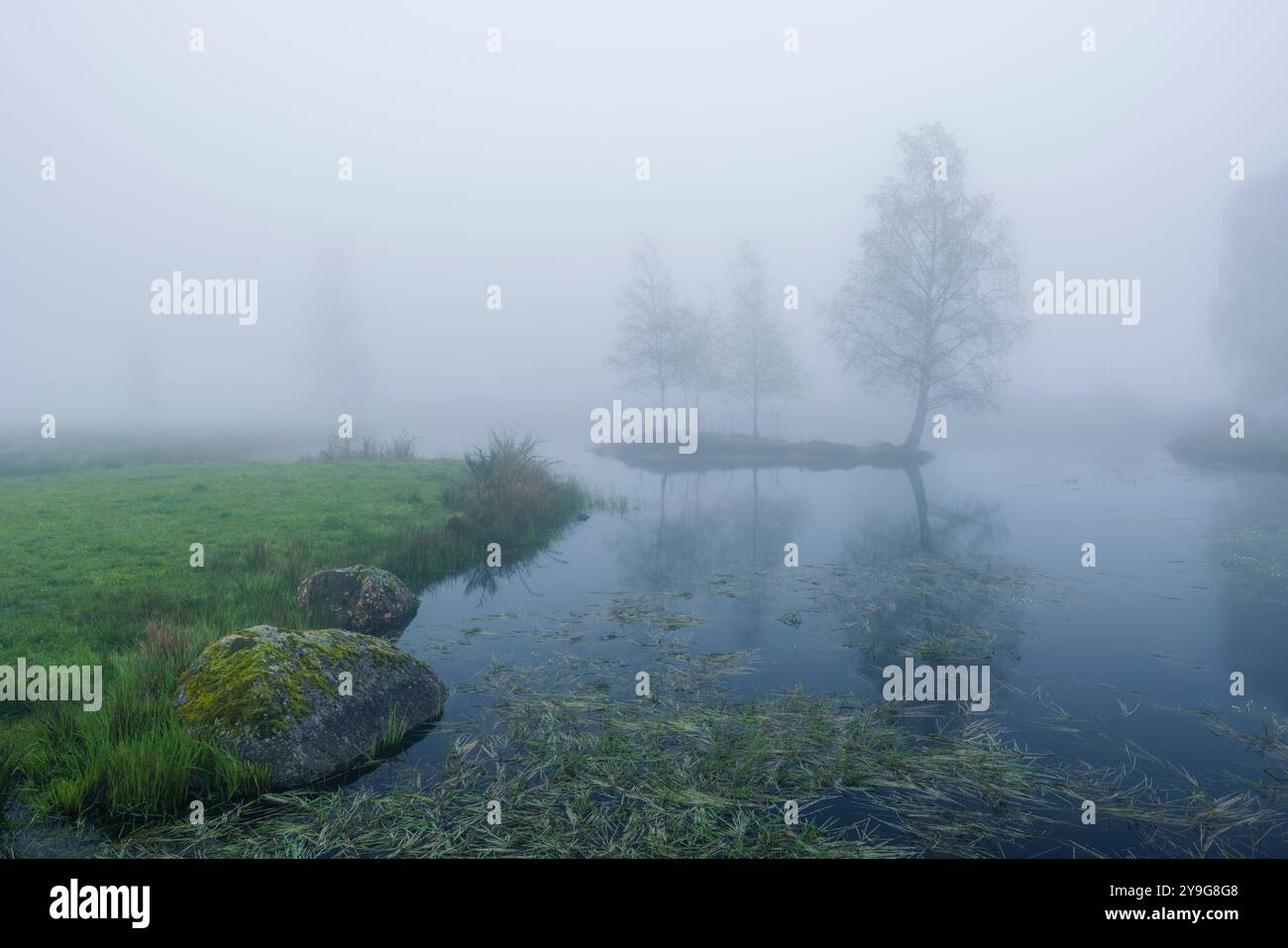 Plateau des Grilloux, Plateau der tausend Teiche (Plateau des Mille etangs), Haute Saone, Bourgogne-Franche-Comte, Frankreich Stockfoto