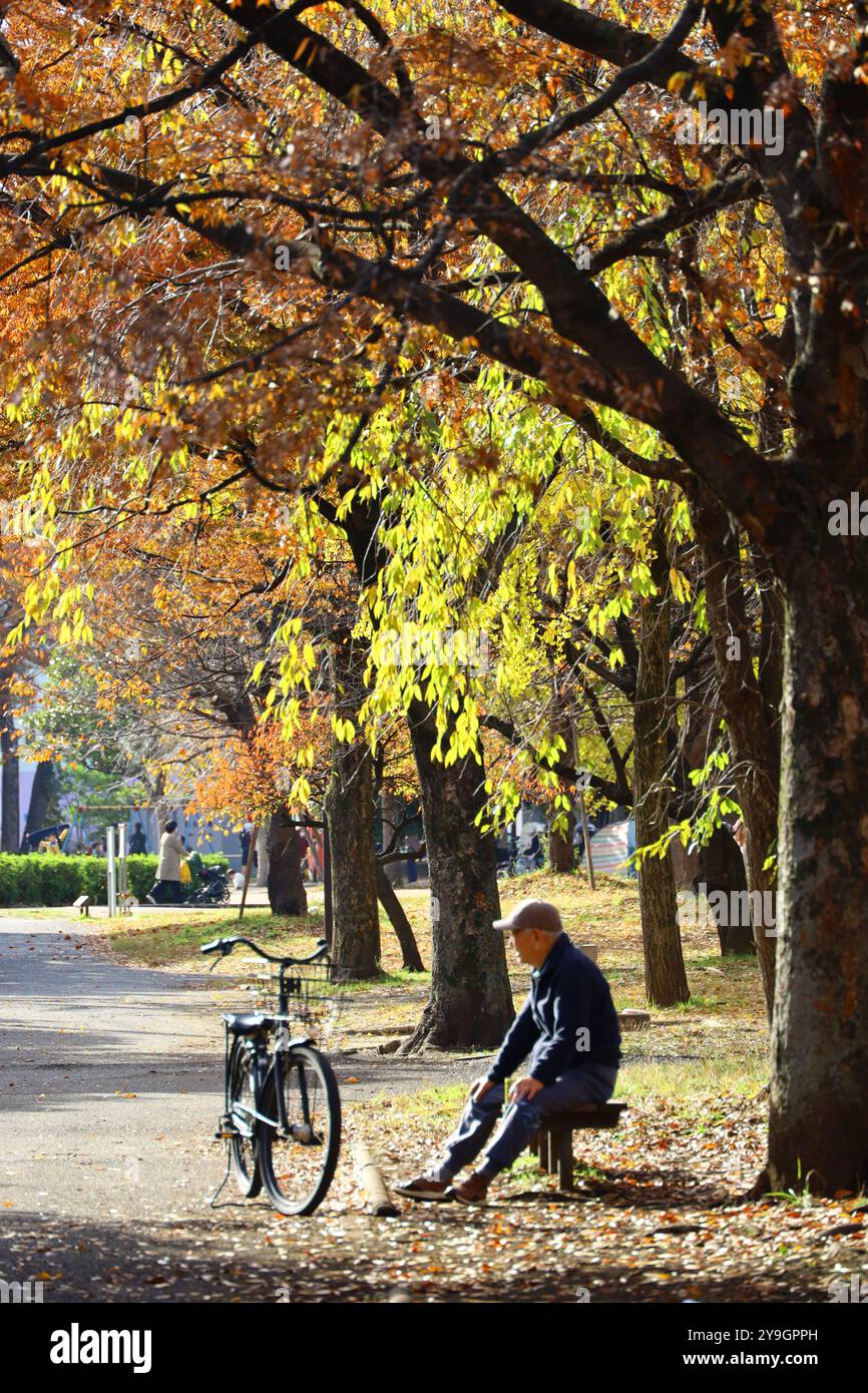 Das tägliche Leben in Japan ein älterer Mann, der sich nachmittags auf einer Parkbank entspannt Stockfoto
