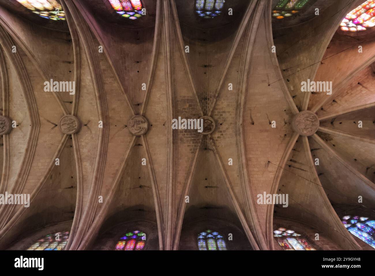 Details zum Juwel der katalanischen Gotik, der Basilika de Santa Maria del Pi, in Barcelona, Spanien Stockfoto