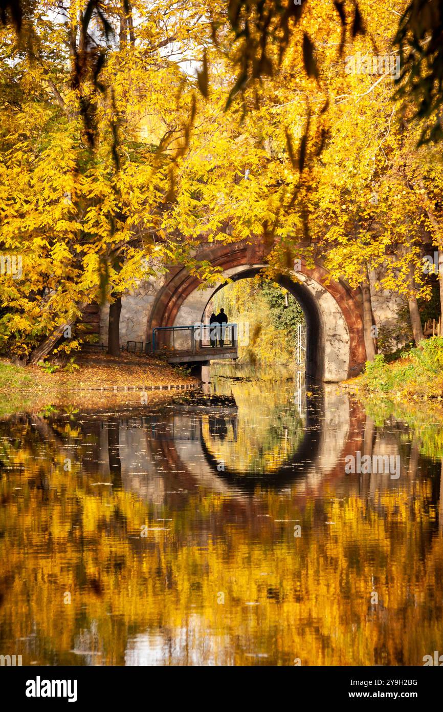 Herbst im Lietzensee Park, Charlottenburg, Berlin. Der ruhige See des Parks spiegelt leuchtende Herbstfarben wider Stockfoto