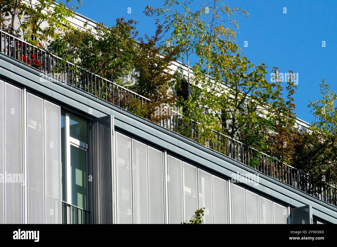 Balkonwohnung Wohnhaus Terrasse Grüne Pflanzen Sträucher Bäume Wachsen Wachsendes Wachstum Wächst Pflanzung Berlin Deutschland Balkone Europa Stockfoto