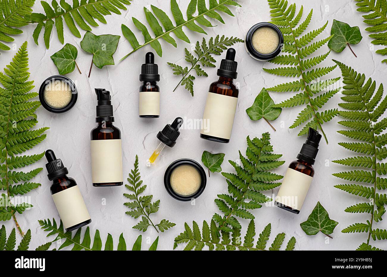 Leere Fotografie von Hautpflege Kosmetikset, Creme, Serum, Feuchtigkeitscreme, Reinigungsöl, Körperöl, Naturheilkunde, Homöopathie, Blatt, Farn Stockfoto