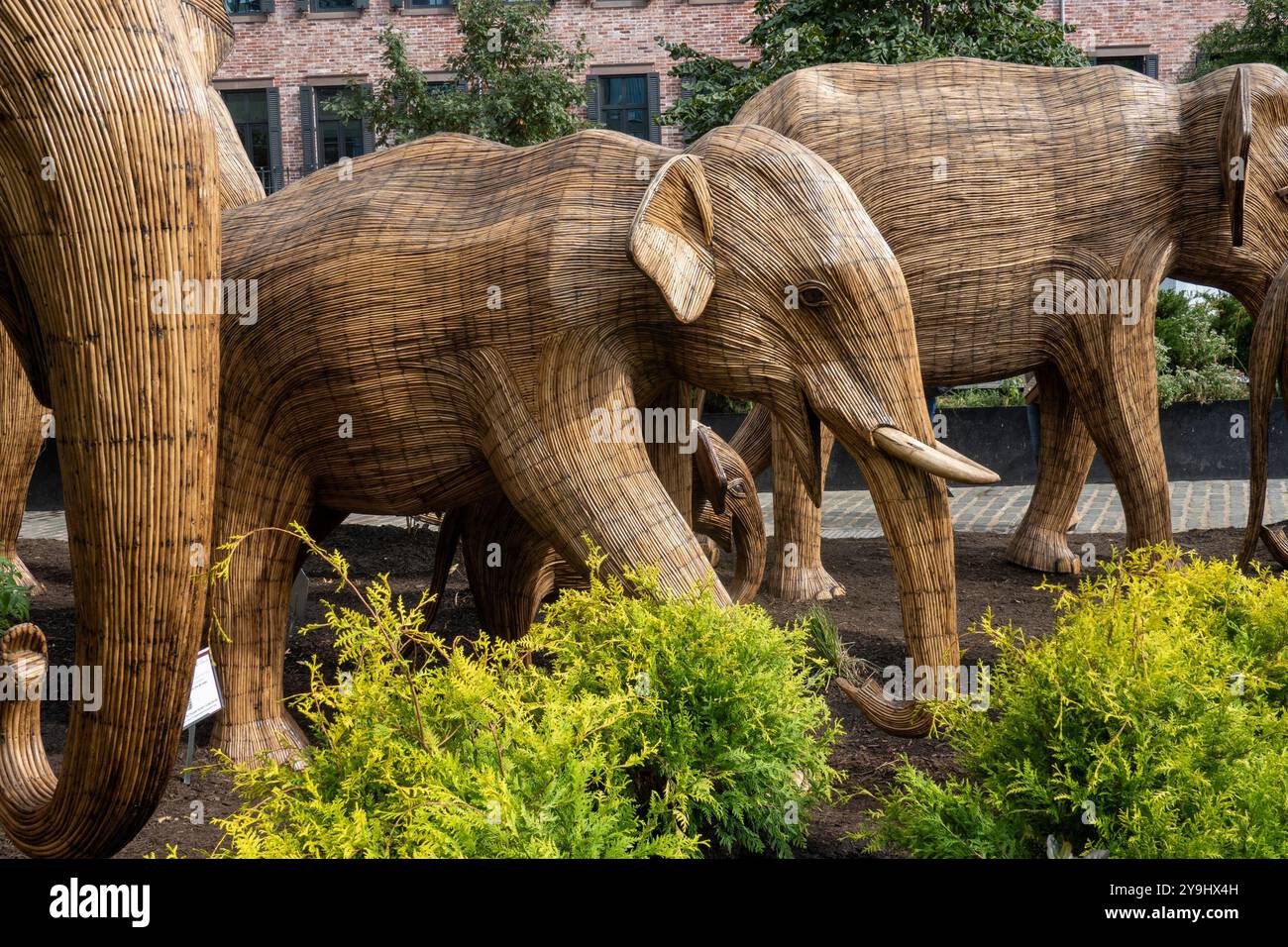 Die große Ausstellung der Elefantenwanderung zeigt lebensgroße Elefanten aus invasivem Unkraut, die auf der ganzen Welt Naturschutzprojekte zeigen, 2024, NYC, USA Stockfoto